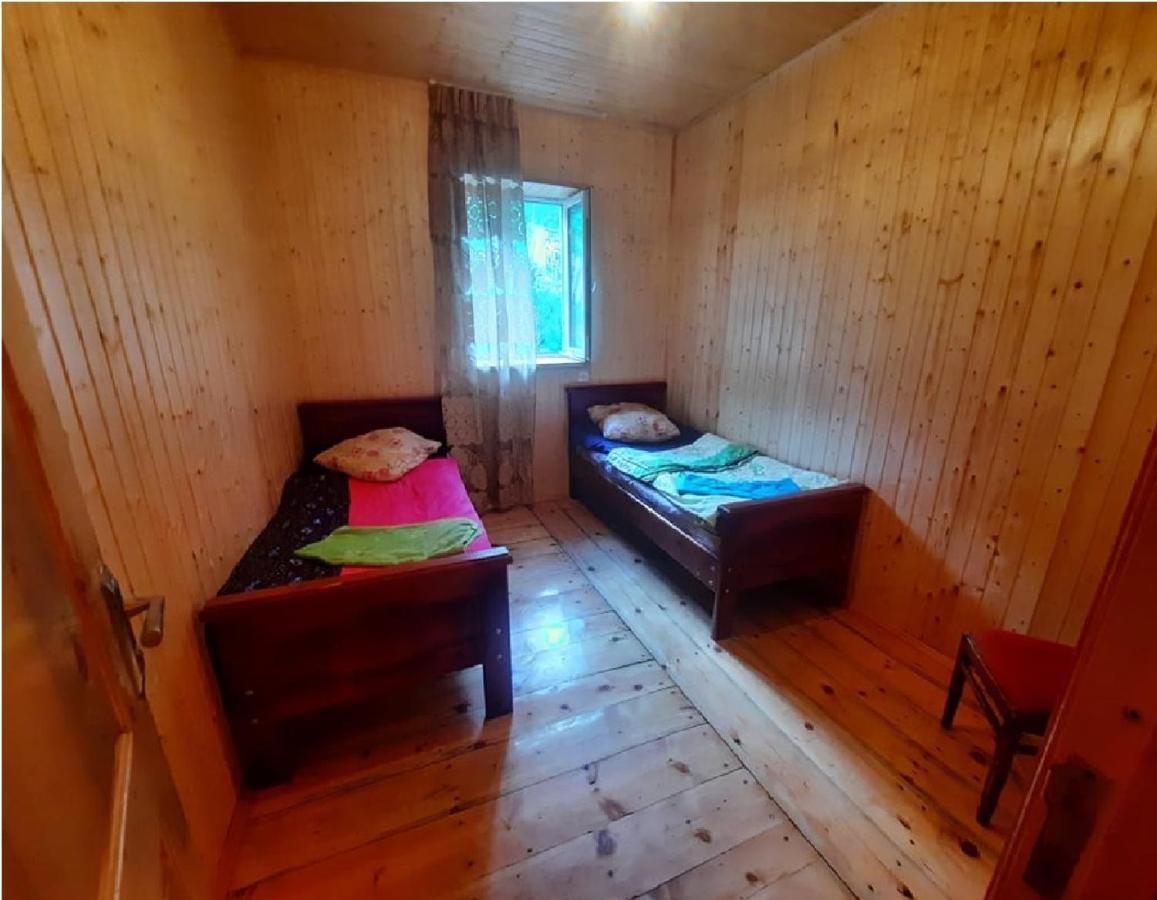 Nino & Tarzan Guesthouse Adishi Екстериор снимка