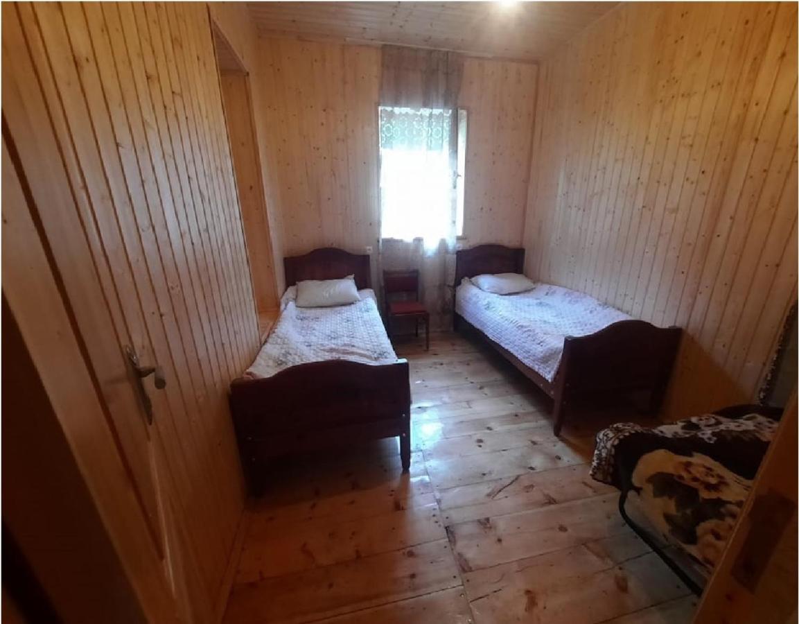 Nino & Tarzan Guesthouse Adishi Екстериор снимка