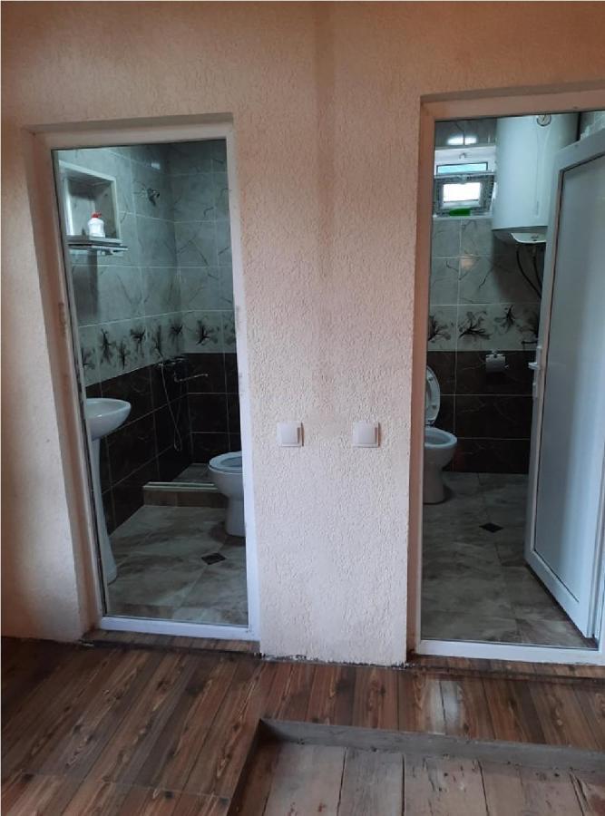 Nino & Tarzan Guesthouse Adishi Екстериор снимка